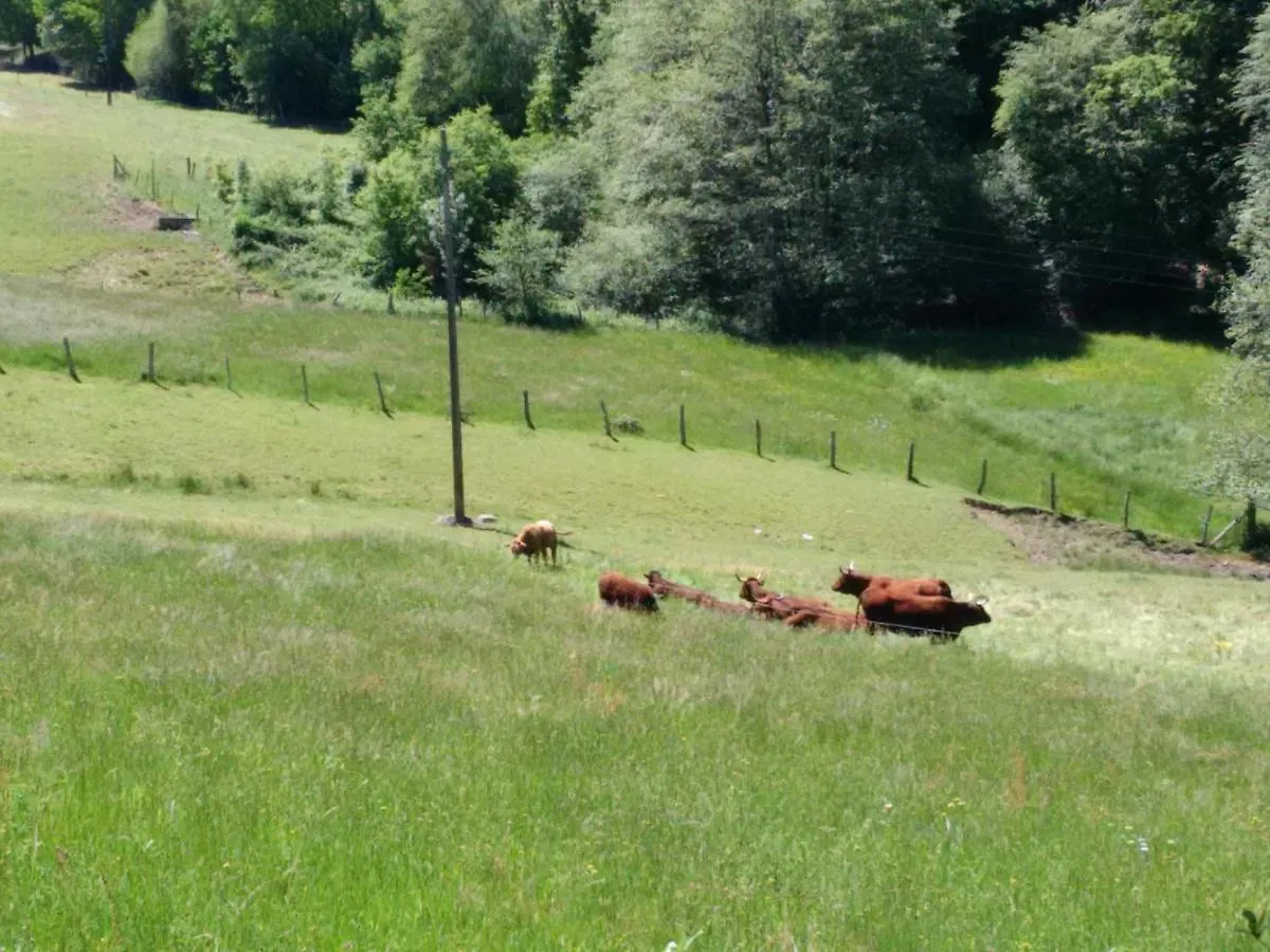 Le Relais Des Planquettes Bed & Breakfast Saint-Etienne-Cantales